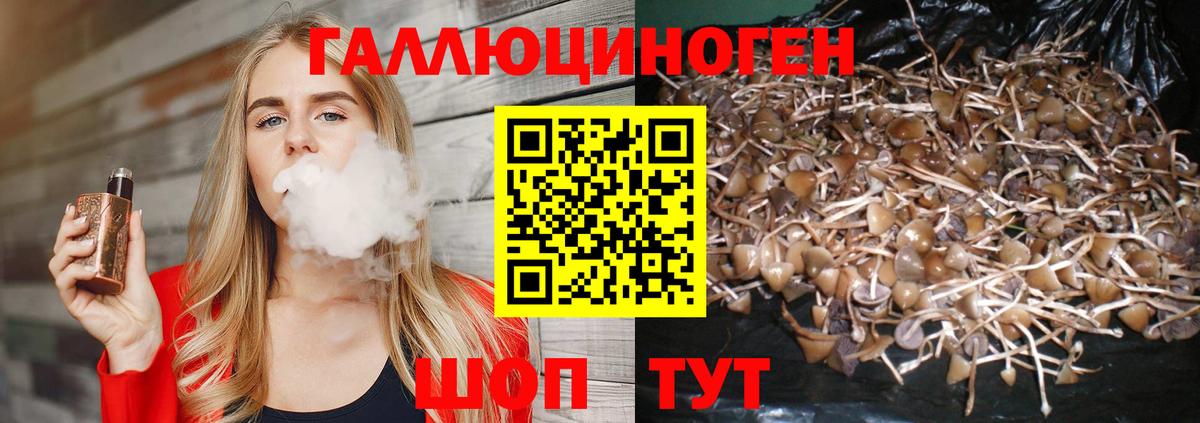 Рассказово  Псилоцибиновые грибы прущие грибы  Вход с VPN 